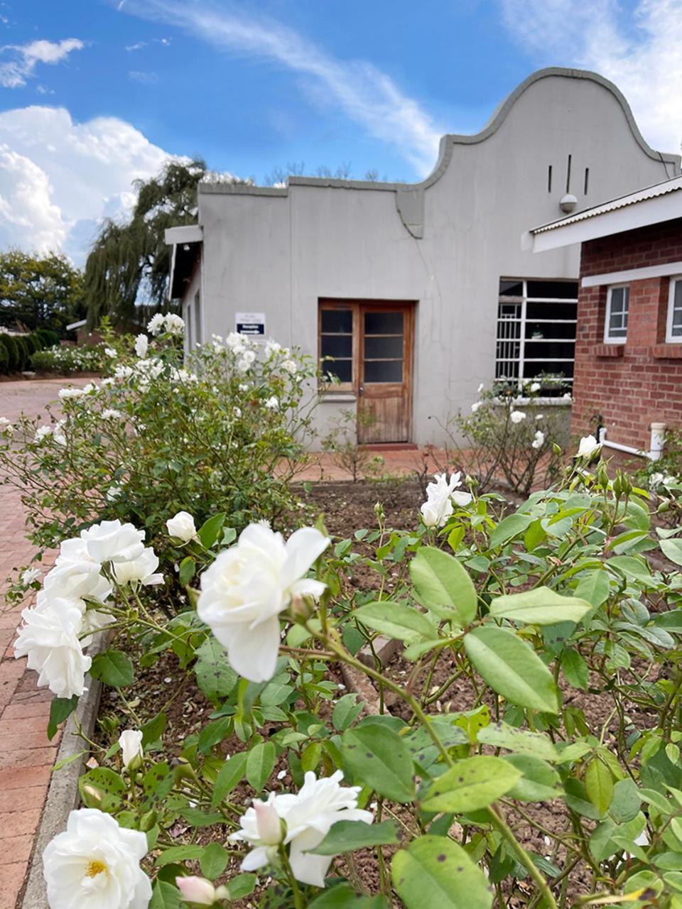 Village Lodge Harrismith Esterno foto